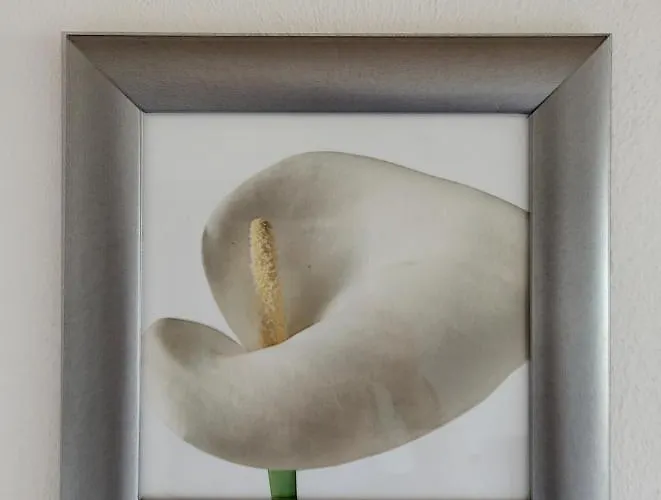 Apartamento Feel At - Casa Sofia Lovere