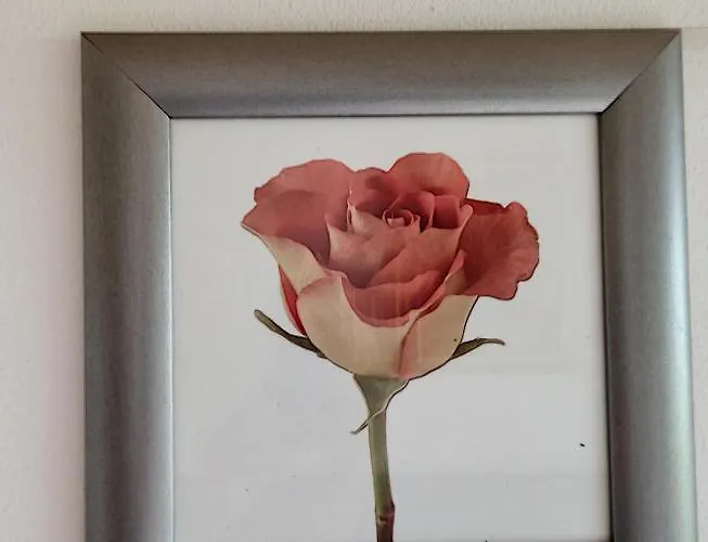 Feel At - Casa Sofia * Lovere